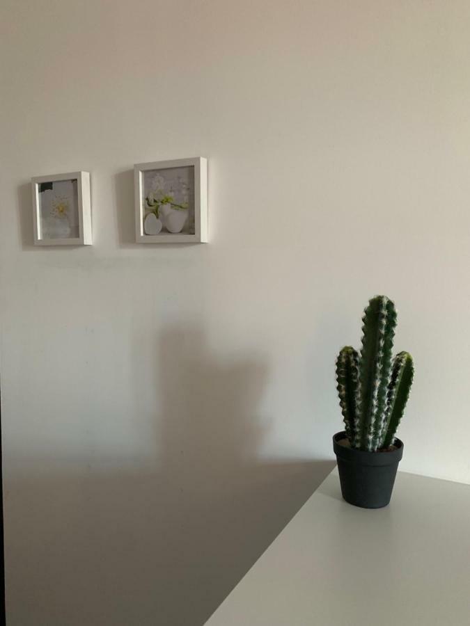 Kala 90m2 Quartier Des Halles Apartment Perpignan
